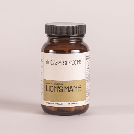 10 Proven Ways Lion’s Mane Can Boost Your Focus (Backed by Science)