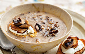 Lion's Mane Mushroom Soup