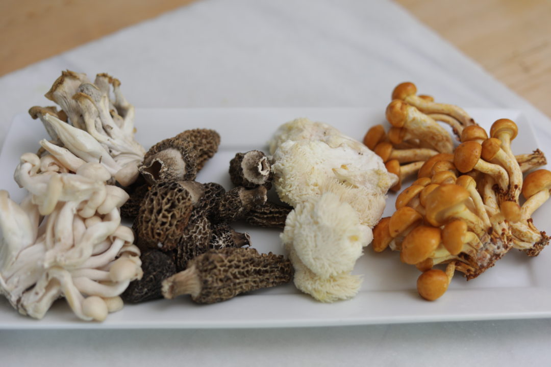 Umami & Functional Mushrooms: Combine flavor and wellness!