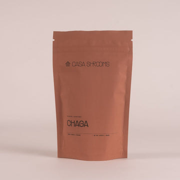 CHAGA POWDER