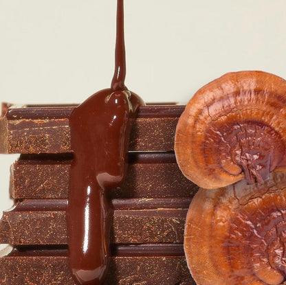 REISHI CHOCOLATE